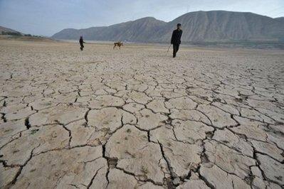 The first decade of the 21st century is set to be the warmest on record, the head of the World Meteorological Organisation has said at the UN climate talks. (AFP/File/Str)