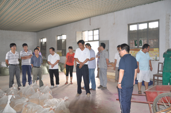 渭南市農科所領導和科研人員觀摩小麥區試材料