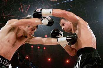 2007年世界職業拳王爭霸賽