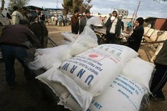 Palestinians distribute food aid received from the United Nations at the refugee camp of Rafah in the southern Gaza Strip on January 8.  (AFP/File/Said Khatib)