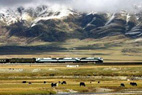 Qinghai-Tibet Railway