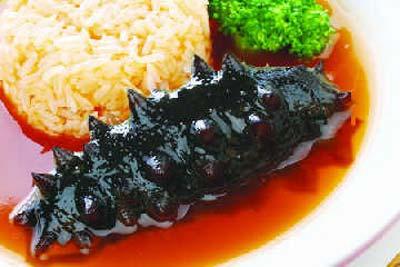 Sea Cucumber