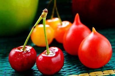 Lovely and Fresh Fruit -- people prefer to pick up by themselves 