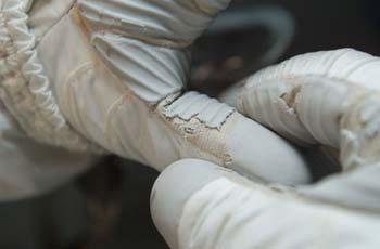 Close up view of an apparent hole found in a glove of astronaut Rick Mastracchio during the third EVA of Mission STS-118.