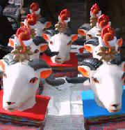 Colourful sheepshead, which is called Longguo in Tibetan language. In Tibetans' eyes, sheepshead is the lucky thing and Tibetan pray a wonderful new year by putting Longguo in front of the Buddha niche.