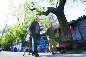 Grandpa Zheng has set his foot on three of the four districts in central Beijing. He rides his bike when he feels physically fit, and takes a bus or just walks when he does not.