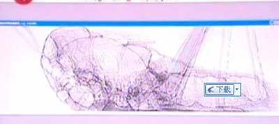 TV grab shows a hard X-ray photo of a live locust taken with the synchrotron radiation light source in Shanghai on March 14, 2009. Even minute vessels in locust antennae can be oberserved and respiratory organs seen clearly, which otherwise cann't be achieved with a traditional X-ray machine. Shanghai Synchrotron Radiation Facility, SSRF, is a third-generation of synchrotron radiation light source. Up to now, SSRF is the biggest scientific platform for science research and technology development in China. The synchrotron radiation was firstly observed in synchrotron accelerator in 1947. When a circulating electron beam is deflected by the bending magnets in a storage ring, an intense flux of electromagnetic radiation, called synchrotron radiation, is produced. (Xinhuanet Photo)