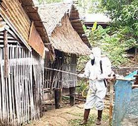 Bird flu spray in Laos