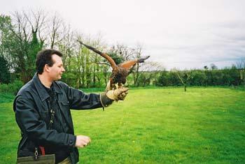 UK study finds bird can "read" human gaze