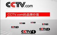 <font color=red>CCTV.com的品牌價值</font>