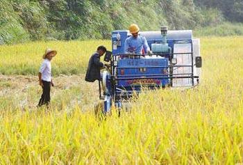 A finance official says the country will provide more subsidies to the agricultural sector to encourage farmers to boost output. 