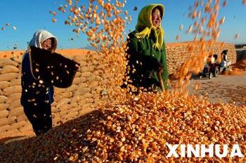 The country's top economic planner says China can expect a record-high grain output of 525 billion kilograms this year, sustaining the trend of increasing grain harvests for five straight years. 