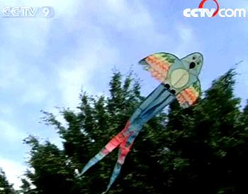 In Sao Paulo a kite flying competition is held every month to honor the tradition.(Photo: CCTV.com)