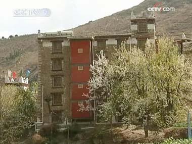 Hundreds of thousands of visitors throng to the village every March, to see the well preserved Tibetan-style houses and blossoming pear flowers.