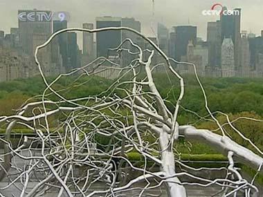 A 130-foot long art installation is the centerpiece of the annual roof top garden exhibit at New York's Metropolitan Museum of Art. 