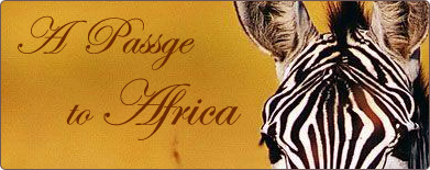 A Passage to Africa