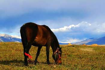 Bienvenue au Tibet