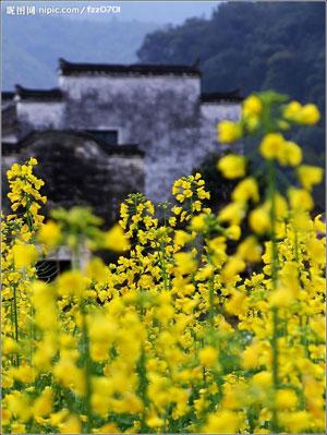 Wuyuan, Jiangxi Province 