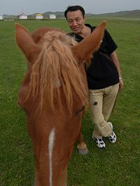 汗血寶馬