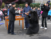 2009年4月11日《人熊情緣》你擋到我鏡頭了