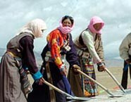 藏族民工參加青藏鐵路的建設