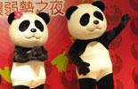 Mainland pandas make debut with Taiwan public