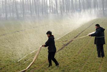 People irrigate a wheat field in Laocheng Township of Changge County, central China's Henan Province, Feb. 3, 2009. Henan, one of China's key wheat producing regions, has suffered from drought since Oct. 24, 2008. Some 2.9 million hectares of farmland in Henan were affected.(Xinhua/Zhao Peng)