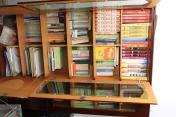 王瑛辦公桌背後的書櫃內盛滿了書
