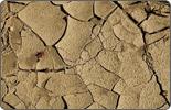 09/03/04 Voices and Votes: Drought fuels water scarcity