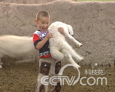 <font color=006600>怎樣才能抓住一隻羊？