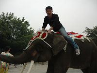 2007年6月廣州番禺野生動物世界 《大象保姆》