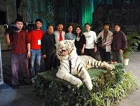 2007年6月廣州番禺野生動物世界廣州老虎