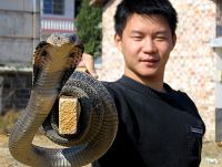 2008年《江西蛇王》耍蛇人