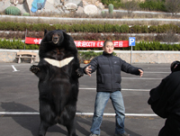 2009年4月11日《人熊情緣》我倆誰壯