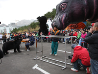 2009年4月11日《人熊情緣》低機位拍攝