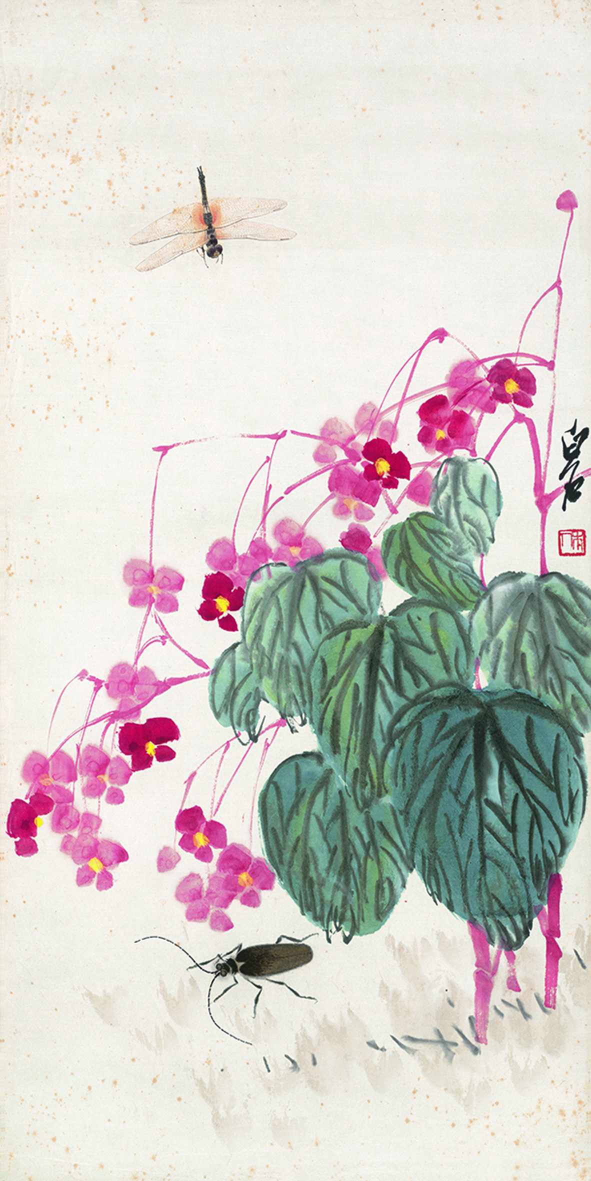 草蟲秋海棠 （國畫） 68×33.5厘米 無年款 齊白石 北京畫院藏