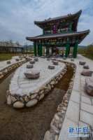       5   10                             45                                                 