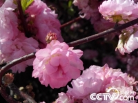   