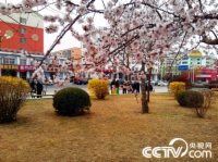   