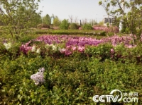   