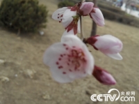   