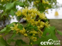   