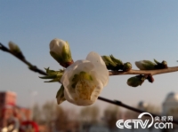                                                                      
      