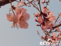   