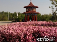   