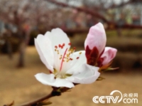   