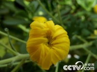   