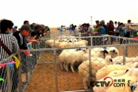   