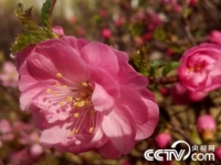   