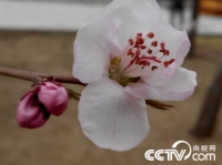   